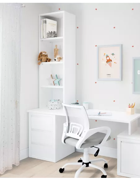 libreria per scrivania-consegna gratuita